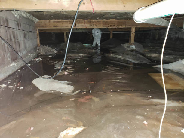 Best Wood Floor Water Damage Restoration in Hudson, OH